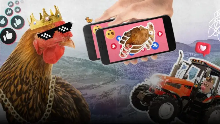 HAWKINS | laendeier | Work