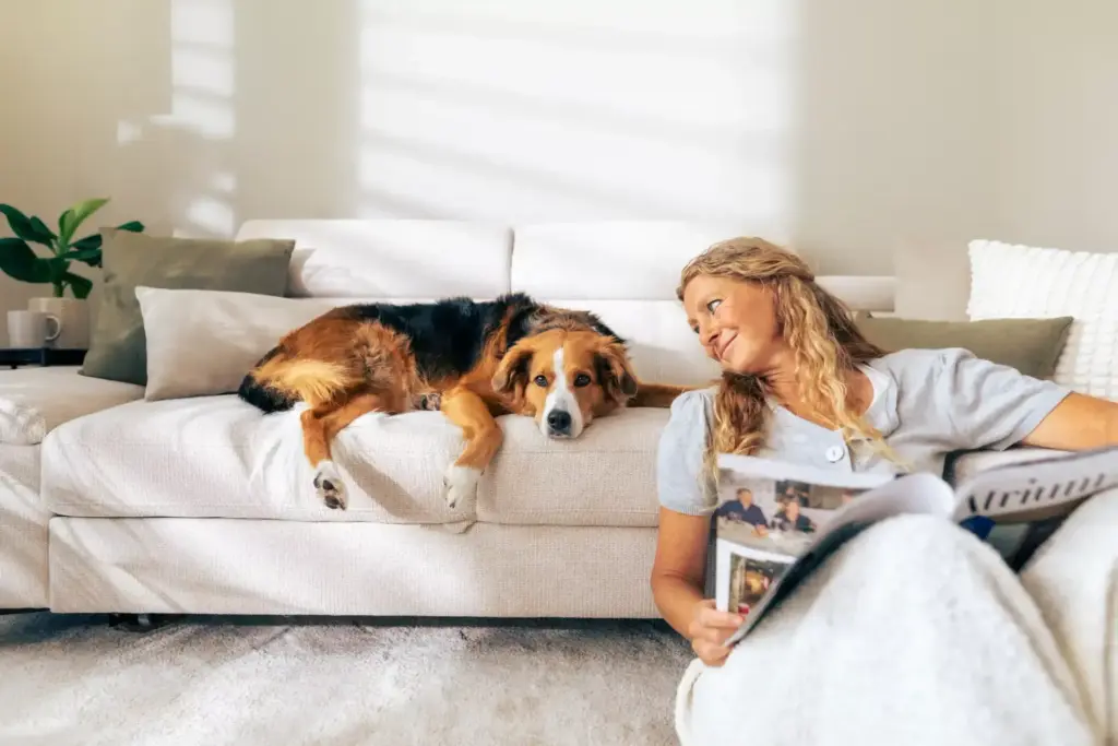 HAWKINS – Josera 3919 HAWKINS scaled 1 – Skalierbare Video-Ads für Josera Petfood: 108 Ads aus einer Produktion